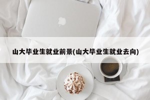 山大毕业生就业前景(山大毕业生就业去向)