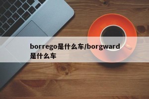 borrego是什么车/borgward是什么车